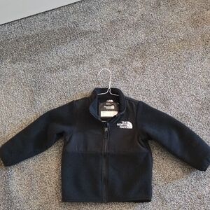 The North Face Dark Fleece Jacket